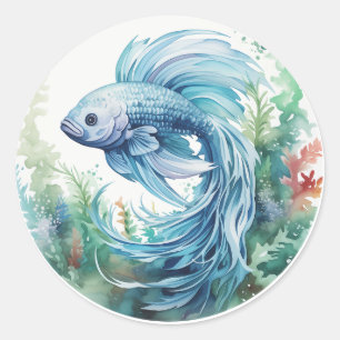 Blue Beta Fish Green Seaweed Classic Round Sticker