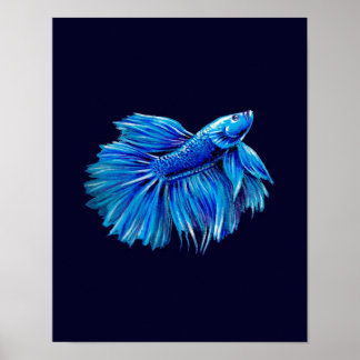 Blue Betta Fish on Navy |Aquarium Lover Poster