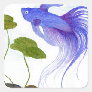 Blue Betta Fish Square Sticker