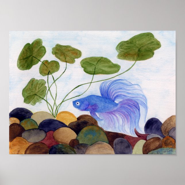 Blue Betta Poster (Front)