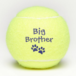 Blue Big Brother Pet Dog Cat Toy Tennis Balls