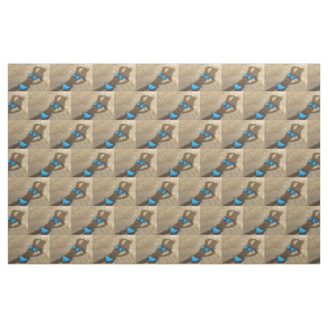 Blue Bikini Beach Sand Thunder_Cove  Fabric (Fat Quarter)