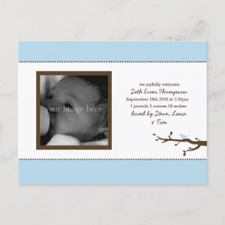 Blue Bird Baby Announcement