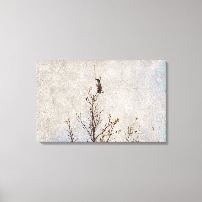 Blue Bird in a Tree Canvas Print (Front)