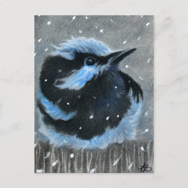 Blue bird in snow POSTCARD (Front)