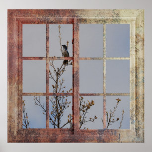 Blue Bird in Window Poster