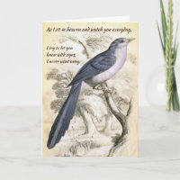 Blue Bird, Never Went Away Vintage Sympathy