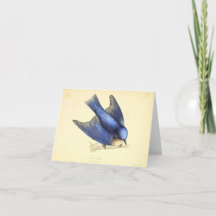 Blue Bird of Happiness Thank You Card