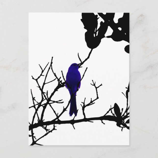 Blue bird on black tree postcard (Front)