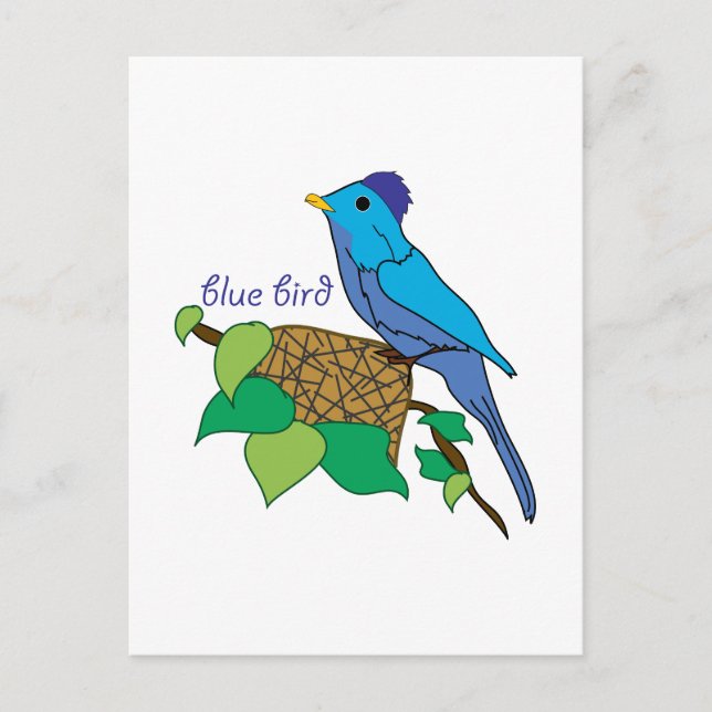 Blue Bird Postcard (Front)