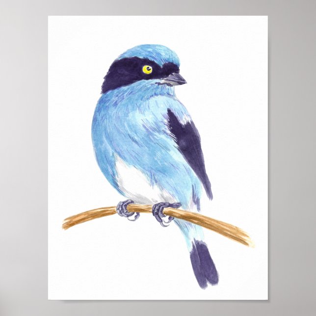 Blue bird poster (Front)