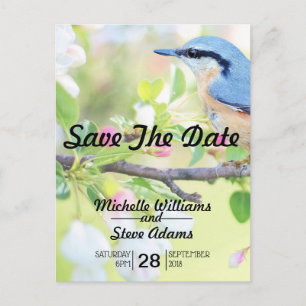 Blue Bird Save the Date Announcement Postcard