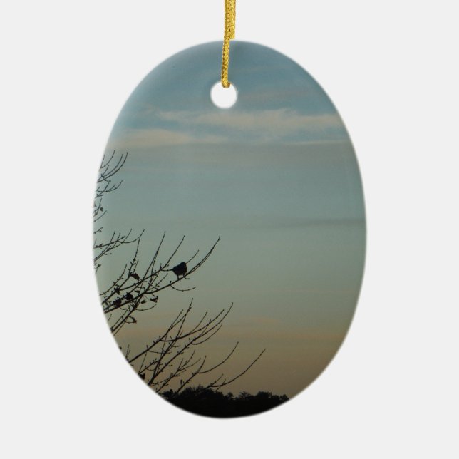 Blue Bird silhouette Powder Blue Sky Ceramic Ornament (Front)