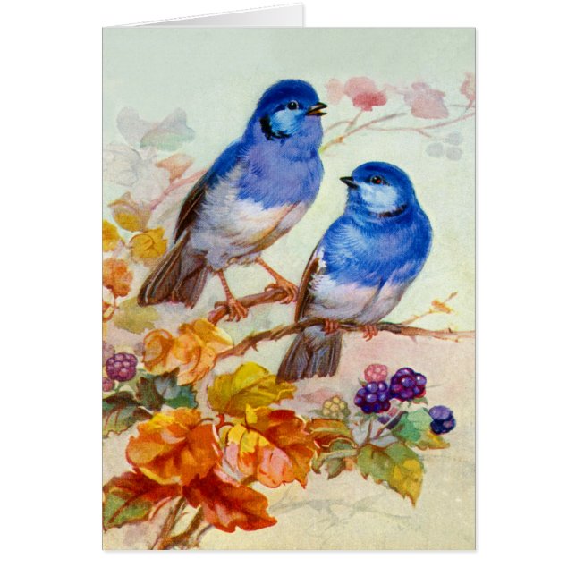 Blue birds (Front)