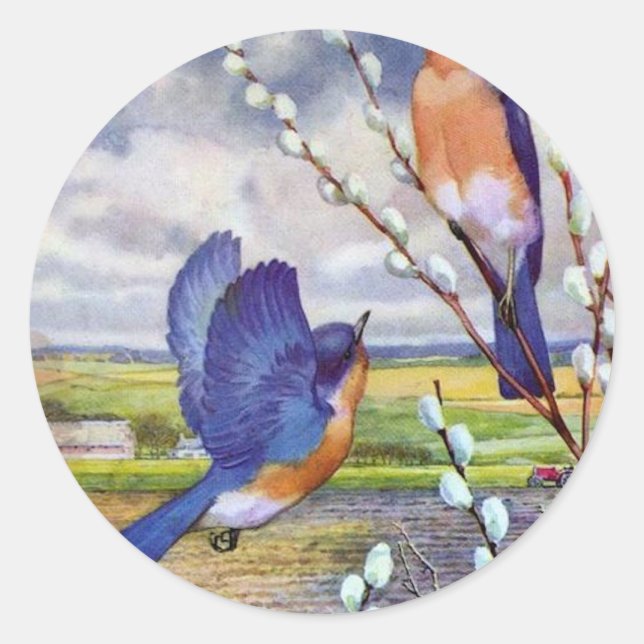Blue Birds Classic Round Sticker (Front)