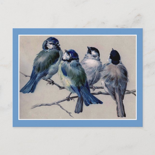 Blue Birds on a Branch Postcard (Front)