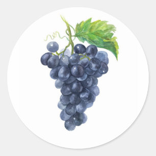 Blue Black Grapes – Watercolor Vineyard Art Classic Round Sticker