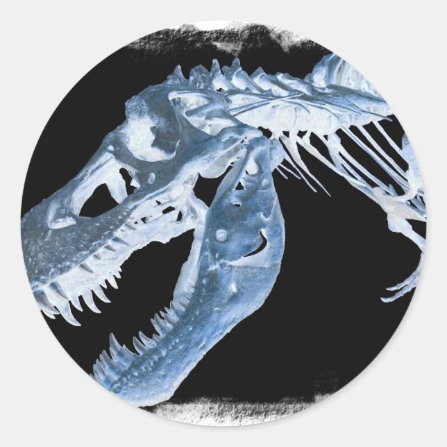 Blue & Black T-Rex X-Ray Bones Photo Classic Round Sticker (Front)