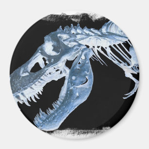 Blue & Black T-Rex X-Ray Bones Photo Magnet