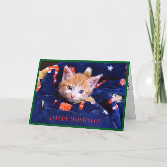 Blue Blanket Cat Orange Kitten Holiday Card (Front)