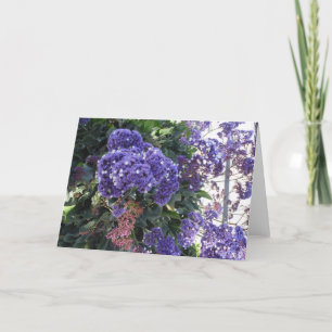 Blue Bloom White Stars Birthday Card