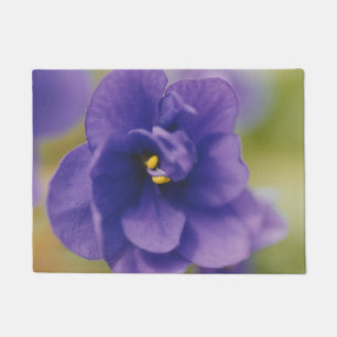 Blue Blooming Flower of Violet Saintpaulia Zoomed Doormat