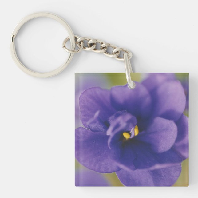 Blue Blooming Flower of Violet Saintpaulia Zoomed Keychain (Front)