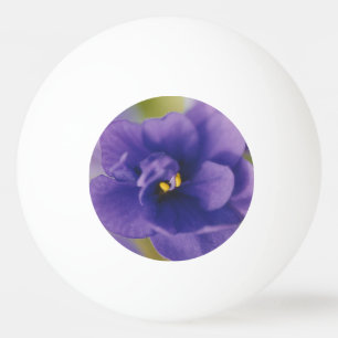 Blue Blooming Flower of Violet Saintpaulia Zoomed Ping Pong Ball