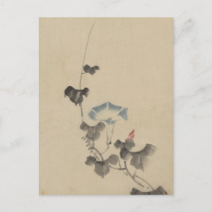 Blue Blossom of Morning Glory on Vine by Hokusai Postcard