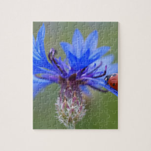 Blue Blossoms Ladybug Peace Love Destiny Art Vine Jigsaw Puzzle
