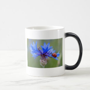 Blue Blossoms Ladybug Peace Love Destiny Art Vine Magic Mug