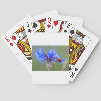 Blue Blossoms Ladybug Peace Love Destiny Art Vine Playing Cards