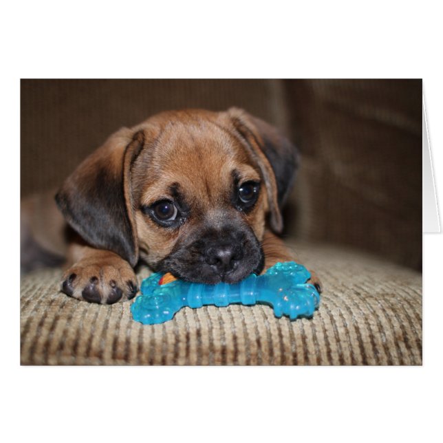 Blue bone (Front Horizontal)