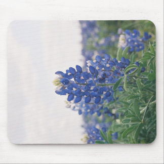 Blue Bonnet Mouse Pad