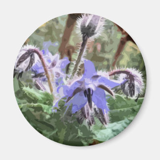 Blue Borage Star flower on a kitchen magnet