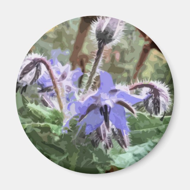 Blue Borage Star flower on a kitchen magnet (Front)