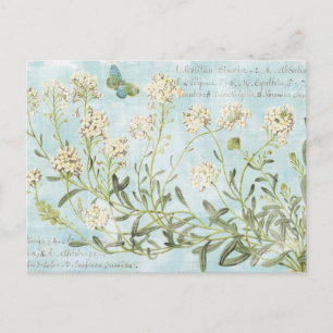 Blue Botanical Postcard