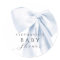 Blue Bow Baby Shower 