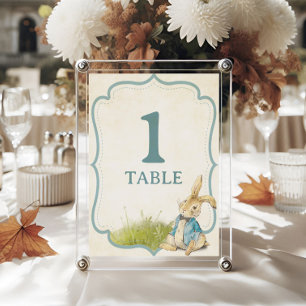 Blue Boy Peter The Rabbit Vintage Baby Shower Table Number