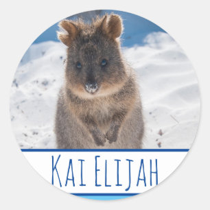 Blue Boys Personalized Quokka Beach Sticker