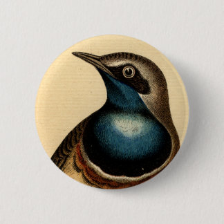 Blue Breasted Bird 2 Inch Round Button