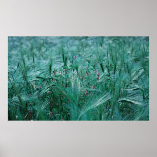 Blue Breath Poster