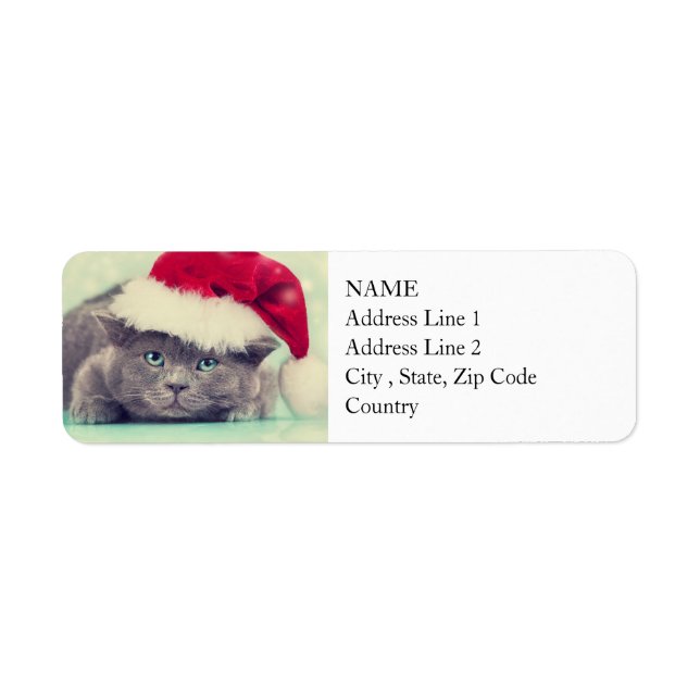 Blue British Cat Purr-fect Holiday Season (Front)