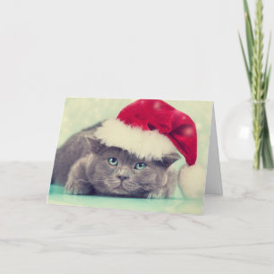 Blue British Cat Purr-fect Holiday Season Card