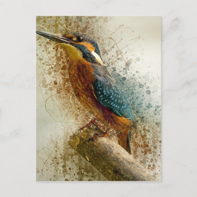 Blue Brown Kingfisher Abstract Postcard (Front)