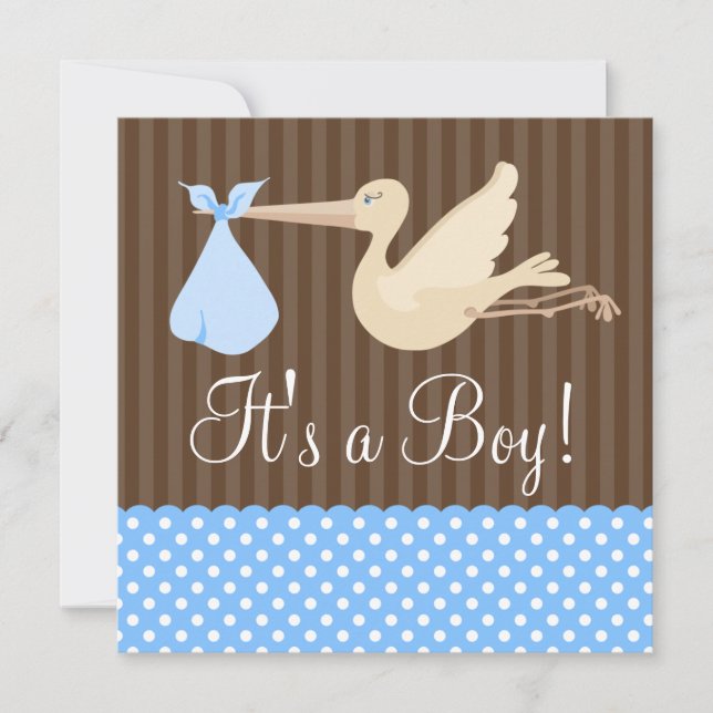 Blue Brown Stork Dots Boy Baby Shower Invitation (Front)