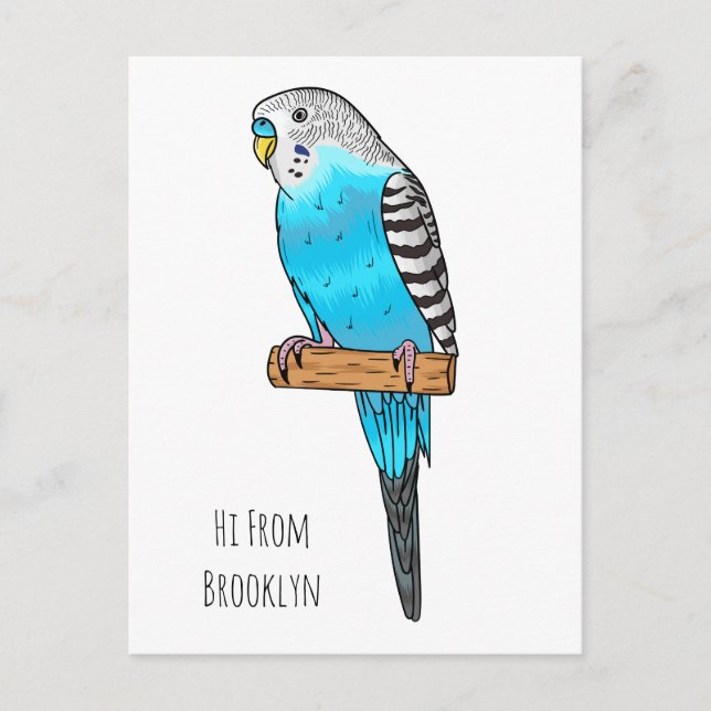 Blue budgerigar bird cartoon illustration postcard (Front)