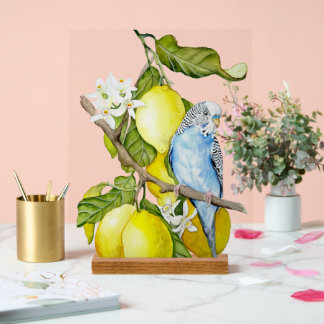Blue Budgie in Lemon Tree Watercolor Botanical Art Acrylic Sign