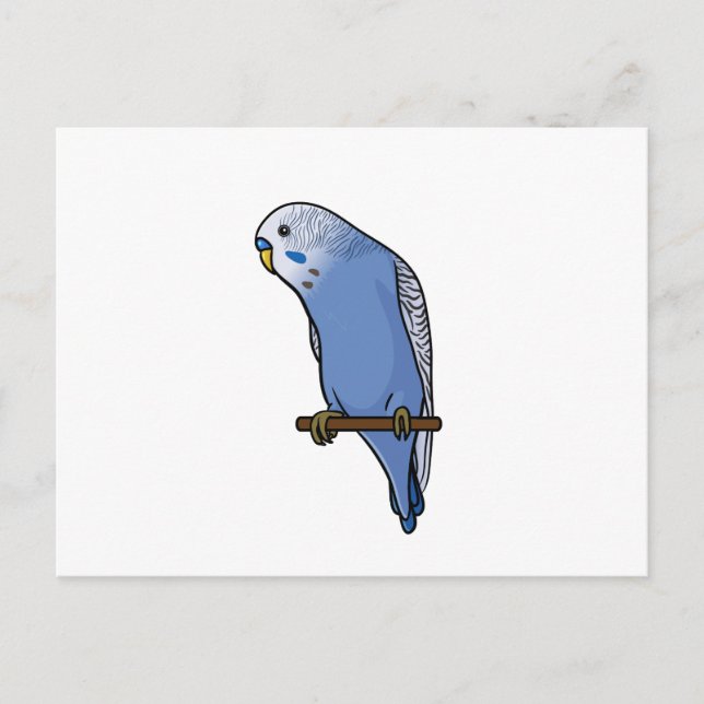 Blue Budgie Postcard (Front)