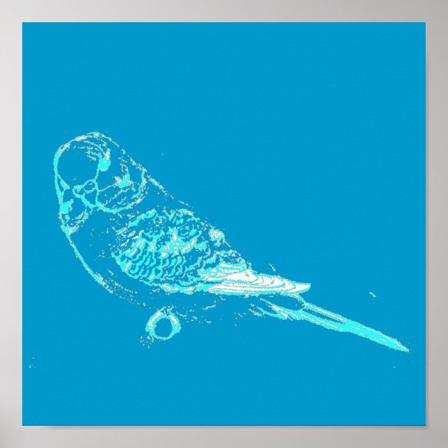 Blue Budgie Poster (Front)